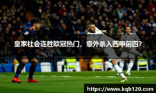 智博19有限公司