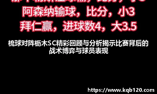 智博